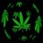 Ozonic_RnD